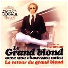 Qui jouait avec Pierre Richard dans  Le grand blond avec une chaussure noire  ?