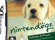 Quiz Nintendogs