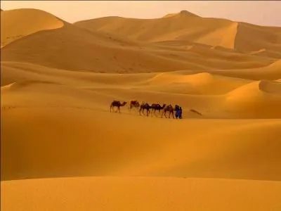 Laquelle de ces affirmations  propos du Sahara est-elle fausse ?