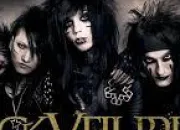 Quiz Black Veil Brides