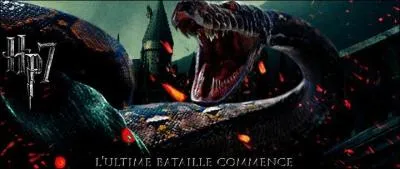 Retrouvez les répliques des films Harry Potter.
 \\"Assez de ton venin !"//