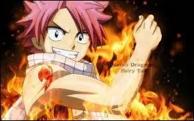 Natsu est un Dragon Slayer de