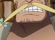 Quiz One Piece - pisodes 021  030 (QCM)