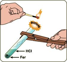 Quiz Sciences