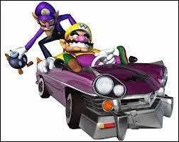 Quel est l'objet spcial de Wario et Waluigi ?