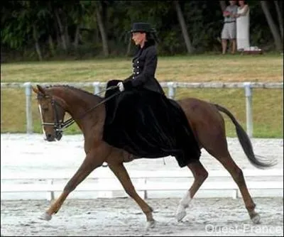 Pour le galop 1, vous devez connaitre quelques sports questres, voici quelques photos. Quel est ce sport questre ?