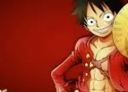 Quiz Passion One Piece !