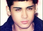 Quiz One Direction : Zayn Malik