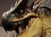 Quiz Les dragons dans Harry Potter