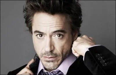 Qui est l'acteur qui interprte le rle de Tony Stark ?