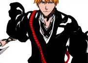 Quiz Bleach Arc Final