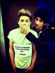 Que ferait Niall si Zayn lui mangeait toute sa nourriture ?