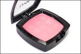 Avec quel pinceau utilise-t-on le blush ?