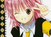 Quiz Quiz Shugo Chara !