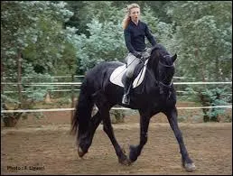 Pour incurver un cheval  droite, il faut que :