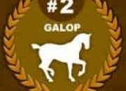 Quiz Passe ton Galop 2 !