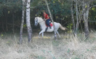 Quiz Chevaux