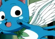 Quiz Fairy Tail