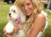 Quiz Ashley Tisdale