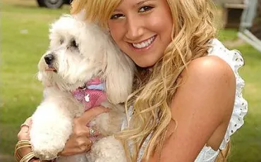 Quiz Ashley tisdale