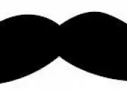 Quiz Quiz facile avec moustaches rigolotes