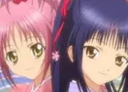 Quiz Shugo Chara