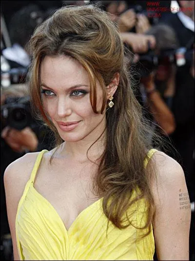 Dans lequel des ces films n'a pas jou Angelina Jolie ?