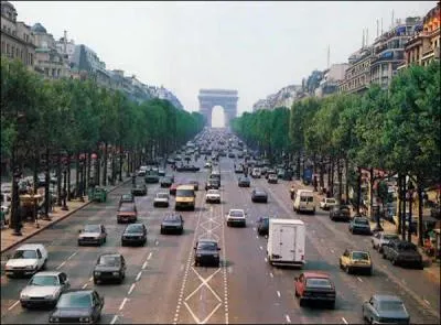 Un des premiers symboles de la France, rserve aux dfils militaires du 14 juillet, elle est considre par les Parisiens comme la plus belle avenue du monde. Tous les ans, au soir du 31 dcembre, elle est rserve aux pitons. C'est :