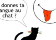 Quiz Le chat dans les expressions (1)