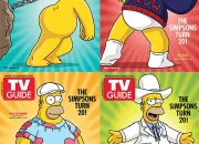 Quiz Au coeur des sries TV avec Homer Simpson