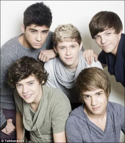 Qui est  l'origine des One Direction ?