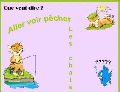 Toute personne influenable   va voir pcher les chats . Que fait-elle ?