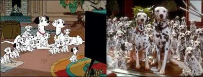 Quand est sorti le film  Les 101 dalmatiens  ?