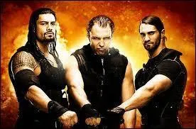 A quand remonte la formation officielle de The Shield ?