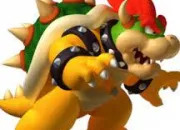 Quiz Bowser, les dtails