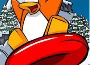 Quiz Club Penguin