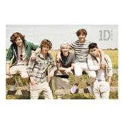 Quiz One direction