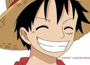 Quiz Luffy : vrai ou faux ?