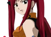 Quiz Quiz spcial Erza