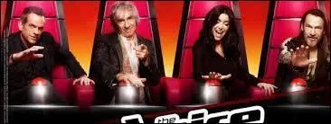 Combien y a-t-il de jurs dans  The voice la plus belle voix  ?