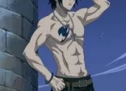 Quiz Fairy Tail : spcial Grey