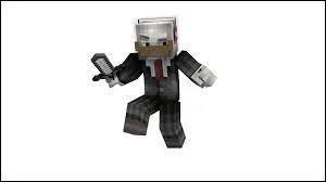 Quel est le skin de ce minecraftien ?