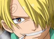 Quiz Sanji