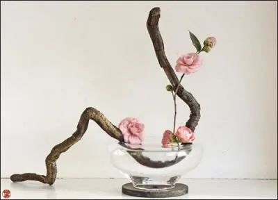 L'ikebana est l'art de la composition ... au Japon.