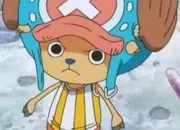 Quiz One Piece, Chopper