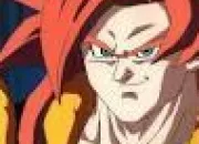 Quiz Personnages DBZ/GT