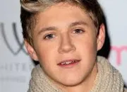 Quiz Niall Horan