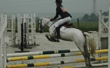 Quiz Equitation