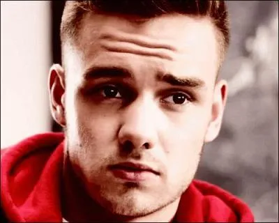 Quel personnage interprte Liam Payne dans le clip ?