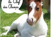 Quiz La clef des champs